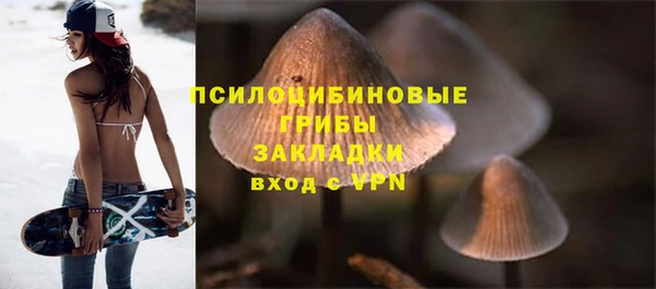 крисы Инта