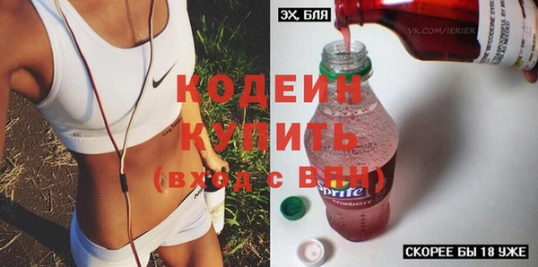 крисы Инта
